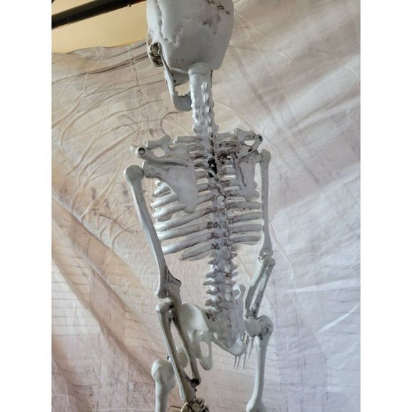 34" jointed skeleton Halloween prop hanging lawn decor home table - Picture 5 of 7